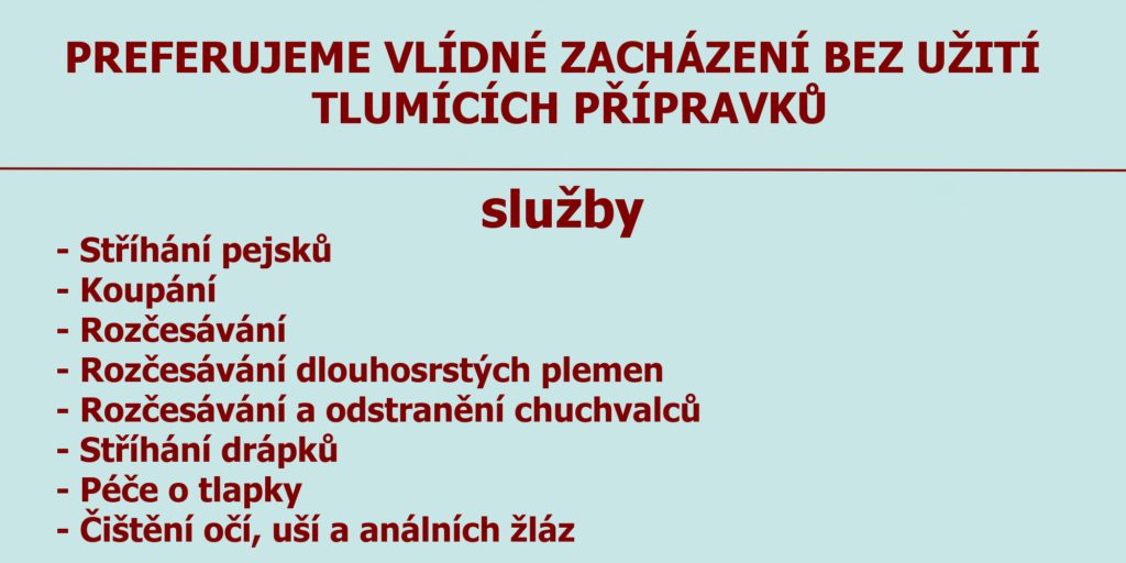 sluzby